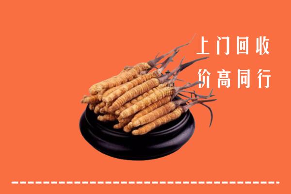 高价求购：会同县回收散虫草